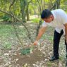 Polisi Pastikan Tak Ada Tanaman Penghasil Kokain di Kebun Raya Bogor