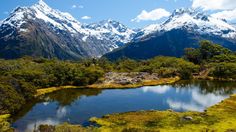 Dibuka 1 Maret, Kuliah Gratis di New Zealand Melalui Beasiswa Manaaki