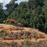 Diduga Rusak Hutan Lindung di Riau, Satu Unit Alat Berat Disita Polisi Hutan