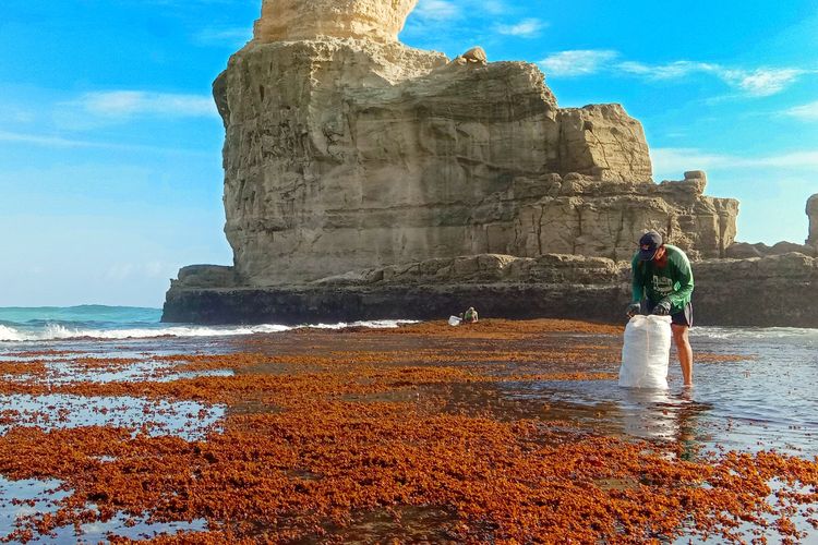 Ilustrasi Pantai Buyutan di Pacitan, Jawa Timur.