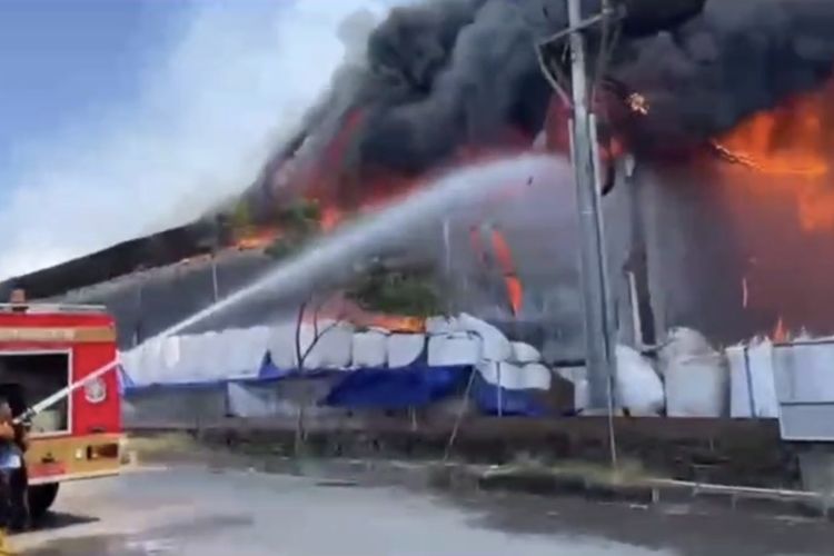 Pabrik Pengolahan Kayu di Lamongan Terbakar, 7 Bangunan dan Alat Berat Hangus