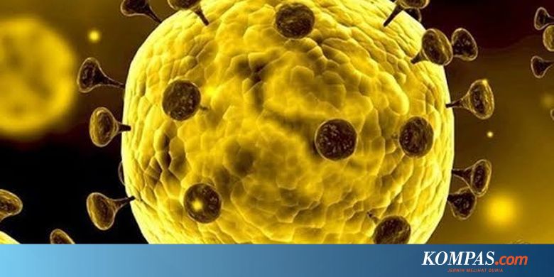 Korban Meninggal Virus Corona di China Tembus 259 Orang, 11.000 Terinfeksi - Kompas.com - KOMPAS.com