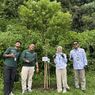 Lestarikan Ekosistem, Kebun Raya Bali Tanam 130 Bibit Cemara di Danau Tamblingan