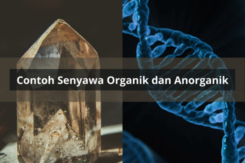 Contoh Senyawa Organik dan Anorganik