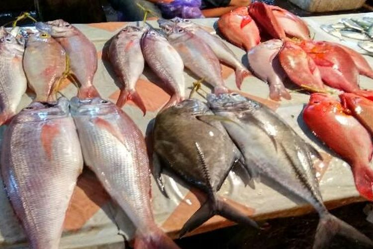 The catch at the Biak Fish Market