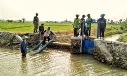 Tekan Dampak Kemarau, Kementan Turunkan Tim Mitigasi Kekeringan