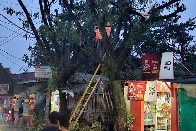 Sejumlah petugaa tengah mengevakuasi pohon tumbang akibat hujan deras di yang melanda dua Kecamatan di Kabupaten Bandung, Jawa Barat, pada Rabu (28/2/2024)