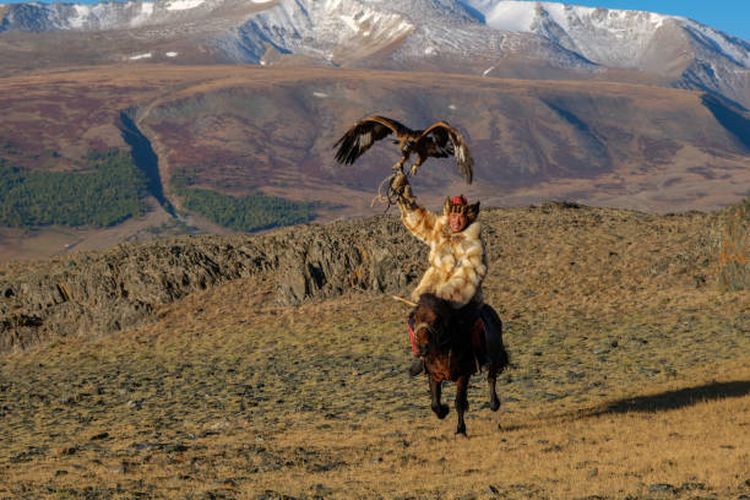Orang mongolia yang mengajak elang untuk berburu.