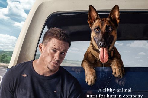 Sinopsis Dog, Kisah Persahabatan Mantan Tentara AD dan Anjing Militer