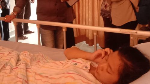 Petugas KPPS Digigit Ular Saat Antar Segel Kotak Suara