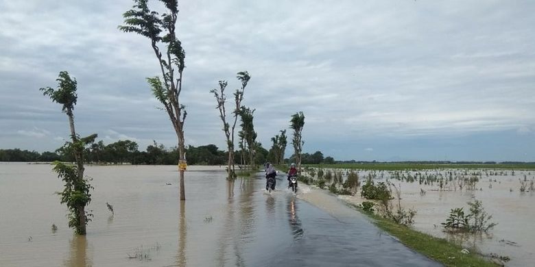 Sawah tergenang air karena banjir di Desa Kanorejo, Kecamatan Rengel, Tuban, Jawa Timur