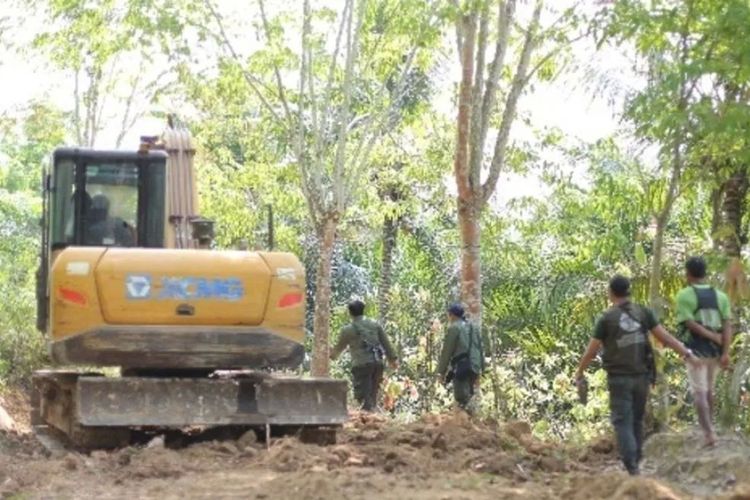 Alat Berat Masuk Kawasan Konservasi, Kemenhut Tetapkan 2 Tersangka Pembukaan Jalan Ilegal di TNBBS