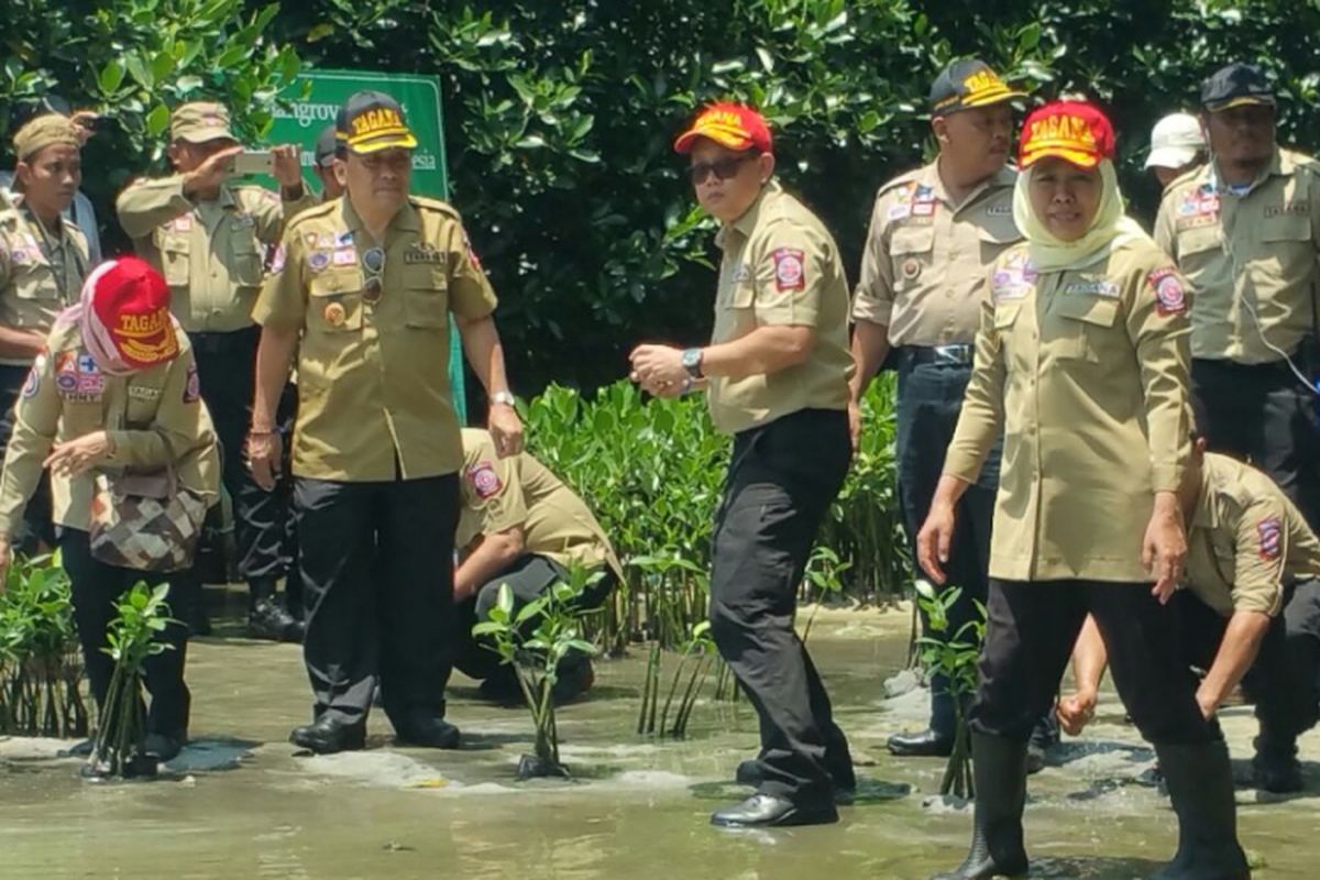 Menteri Sosial Khofifah Indar Parawansa menanam Mangrove di Pulau Pramuka, Pula Seribu, DKI Jakarta, dalam rangkaian HUT TAGANA ke 13. Jumat (24/3/2017)