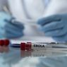 Ebola