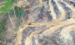 Bencana Sumatera: Refleksi Kolektif untuk Taubat Ekologis