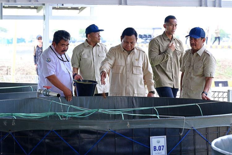 Menteri KP Sakti Wahyu Trenggono bersama Presiden Prabowo Subianto menebar benih nila salin di lokasi modeling BINS, Karawang, Jawa Barat, Senin (2/12/2024). 