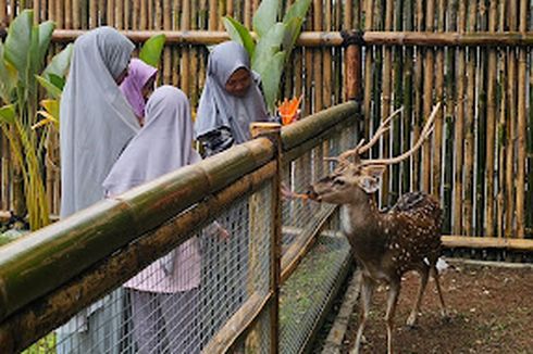 Ciater Park Serpong: Harga Tiket Masuk dan Fasilitasnya