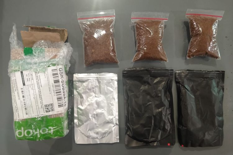 Barang bukti berupa tembakau sintetis atau tembakau gorilla yang disita Satuan Reserse Narkoba Polrestabes Surabaya.
