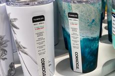 Cerita Pengguna Corkcicle, Beli Tumbler Mahal karena Viral di Media Sosial