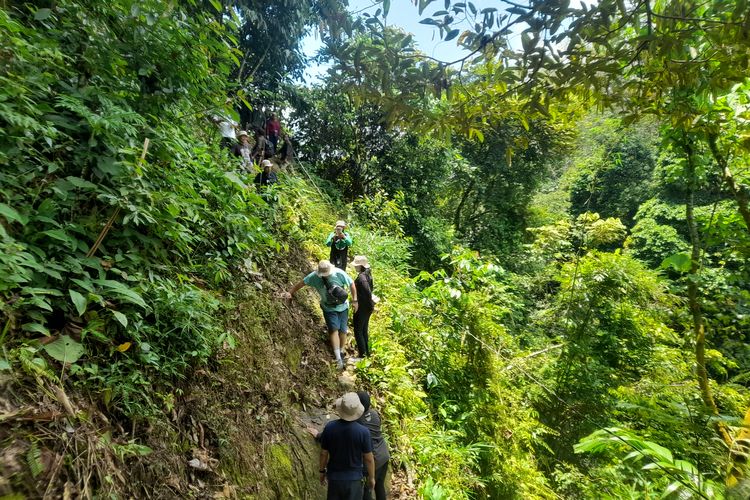Jalur trekking di Gunung Kapur, Batu Katak, Langkat, Sumatera Utara. 