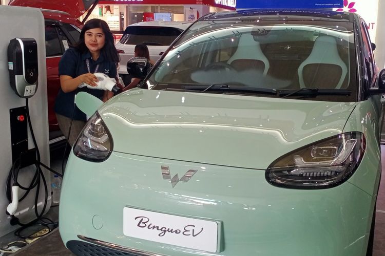 Pameran produk mobil listrik terbaru dari Wuling yakni BinguoEV di Mall Olympic Garden (MOG), Kota Malang pada Sabtu (13/1/2024). 
