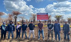 Perusahaan Sawit Disegel karena Picu Karhutla 1.514 Ha di Kalsel