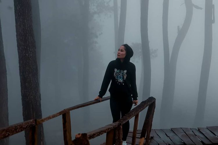 Seorang pengunjung berfoto dengan kabut di hutan pinus