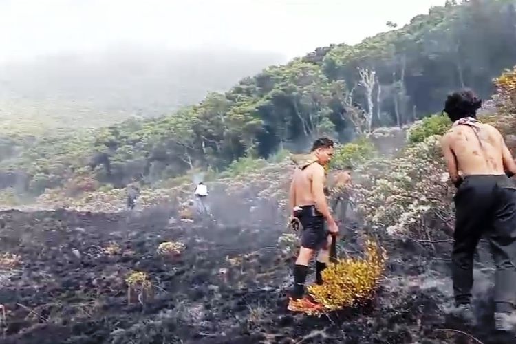 Sejumlah petugas berupaya memadamkan api yang melalap savana alun-alun Suryaencana Taman Nasional Gunung Gede Pangrango (TNGGP), Senin (18/9/2023).