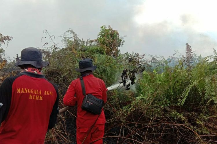 Tim Manggala Agni Sumatera V Daerah Operasi (Daops) Dumai berjibaku memadamkan api karhutla di Kelurahan Lubuk Gaung, Kecamatan Sungai Sembilan, Kota Dumai, Riau, Selasa (23/2/2021).