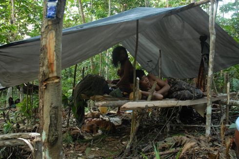 Kisah Orang Rimba Ditolak Bank hingga Terpaksa Simpan Uang Rp 1,5 Miliar Dalam Tanah di Hutan
