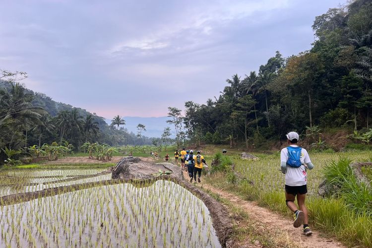 Rute Gajah Trail Run 2023 yang sangat menantang menyajikan pemandangan Pegunungan Telomoyo