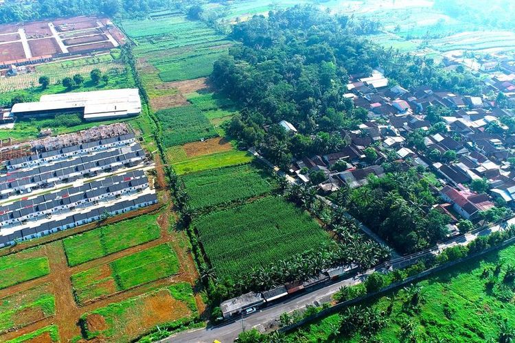 Udara Bersih Berpotensi Tingkatkan Produksi Pangan Global