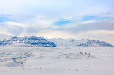 Virus di Siberia Dihidupkan Lagi Setelah Membeku Selama Puluhan Ribu Tahun