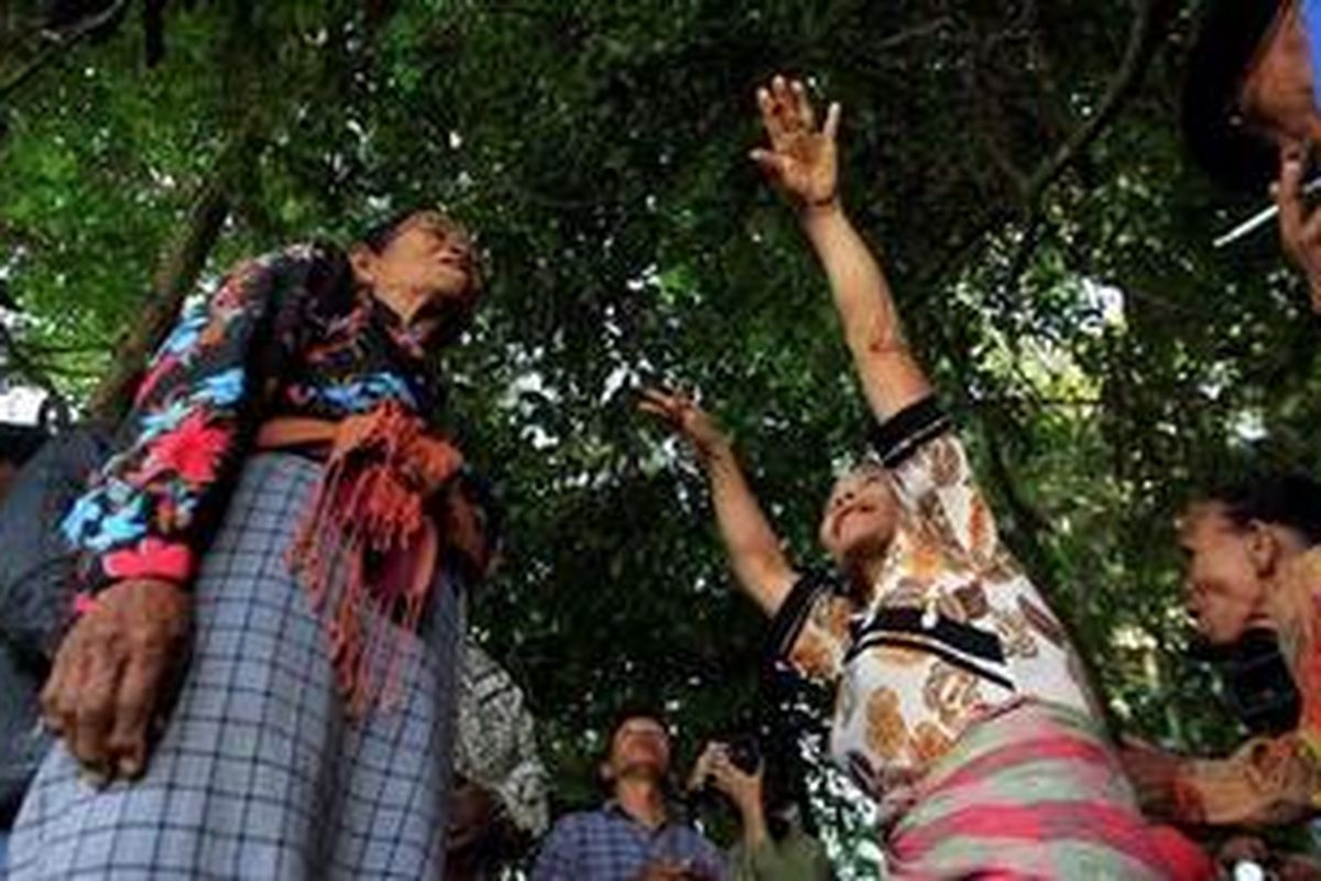 Dukun perempuan mengalami kesurupan saat memimpin jalannya ritual Sarilala atau tolak bala di Desa Gurukinayan, Kecamatan Payung, kaki Gunung Sinabung, Kabupaten Karo, Sumatera Utara, Jumat (22/7/2011). Ritual ini jarang dilakukan warga setempat. Sebelumnya pernah dilakukan saat Gunung Sinabung meletus Agustus 2010, dan kali ini kembali dilakukan sebagai harapan agar gunung tidak meletus lagi.