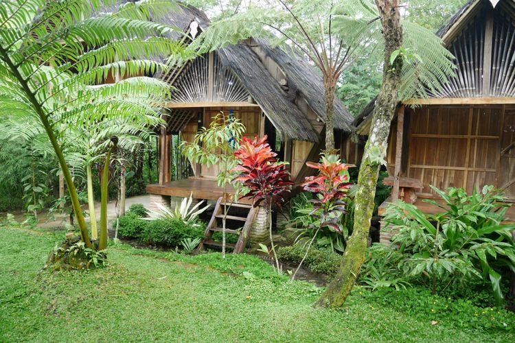 Salah satu homestay yang ada di Desa Wisata Nglinggo yaitu Rimbono Homestay, Kabupaten Kulon Progo, Yogyakarta, Sabtu (4/11/2017).