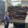 5 Orang Sopir hingga Kernet Truk Ditangkap, Diduga Bawa Kayu Ilegal Berasal dari Hutan Lindung di Riau
