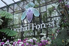 Tiket Masuk Orchid Forest Cikole 2022