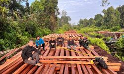 Kemenhut Hentikan Sementara Pengangkutan Kayu di Sumatera, Cegah Peredaran Ilegal