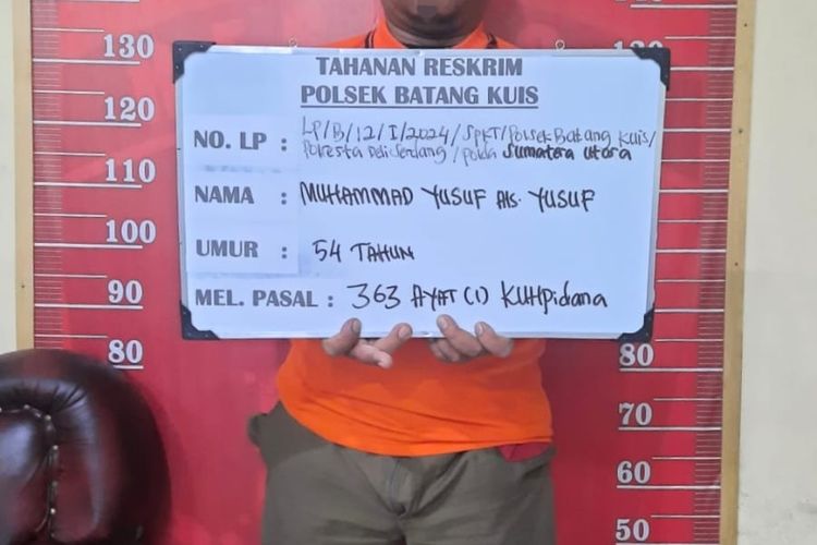 MY pelaku pencurian modus petugas  PLN di Deli Serdang saat ditangkap polisi Senin (22/1/2024)