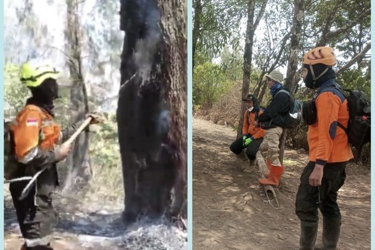 Karhutla Gunung Buthak Malang Meluas hingga 300 Hektar, Api Masih Menyala
