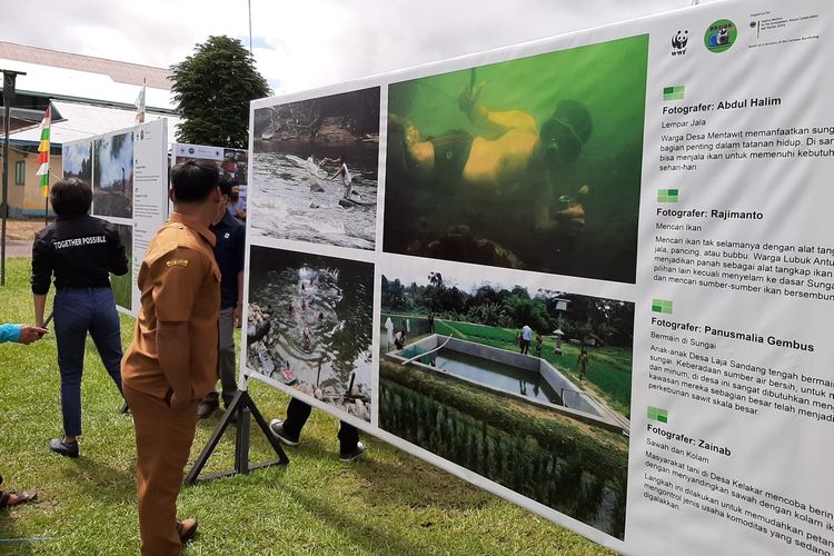 Sebanyak 30 warga di 4 desa dan 2 kecamatan di Kabupaten Kapuas Hulu, Kalimantan Barat, mendapat pelatihan fotografi selama satu tahun. Hasilnya dipamerkan di Pekan Raya Bumi Kasturi, Kabupaten Kapuas Hulu, Kalimantan Barat, Senin (9/12/2019).