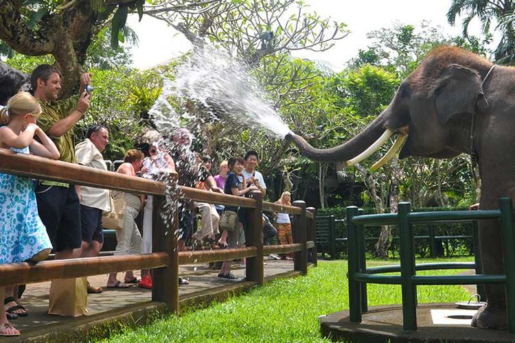 Mason Elephant Park di Gianyar, Bali.