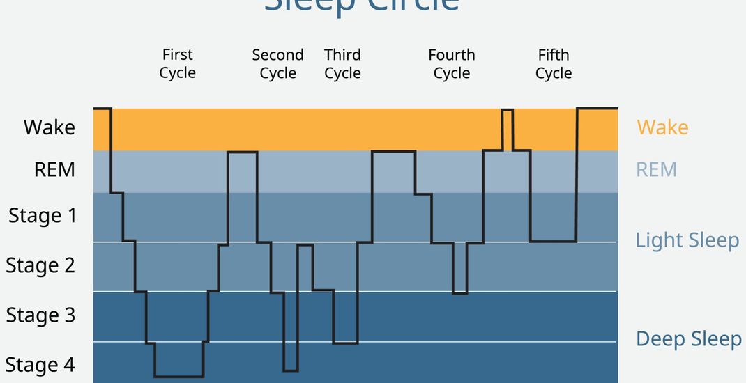 Siklus tidur