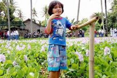 Kebun Bunga Eceng Gondok, Alternatif Wisata Edukasi untuk Anak