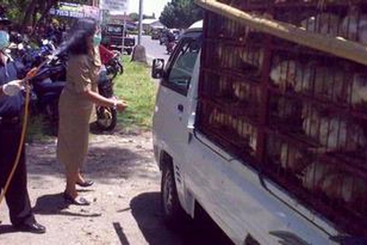 Petugas Dinas Peternakan Kota Denpasar menyemprotkan cairan Desinfektan kepada unggas-unggas yang akan masuk Kota Denpasar di Jalan Ida Bagus Mantra, Denpasar, Selasa (29/03/2011).