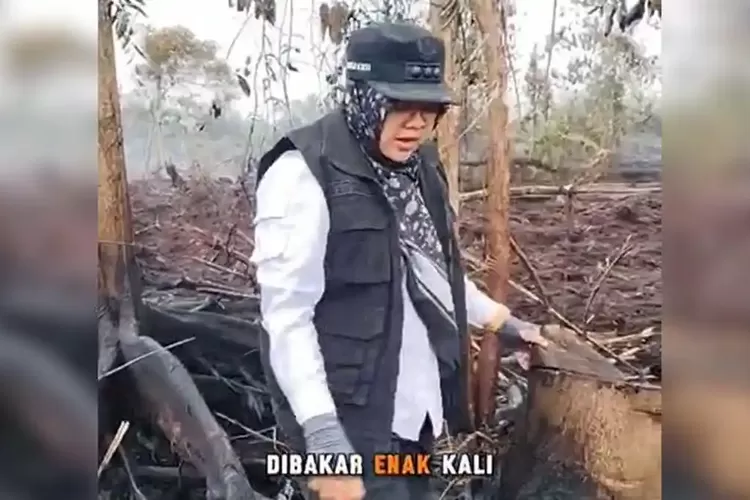 Temukan Tunggul Baru Ditebang di Lahan Terbakar, Bupati Siak: Sakit Hati Kita, Habis Ini Terbit Sawit