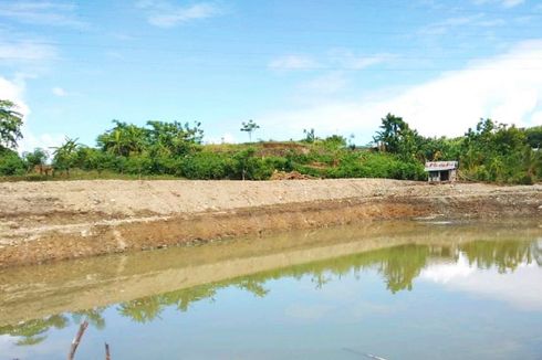 Berkat Pembangunan Embung dari Kementan, Petani di Sumsel Panen 5,5 Ton per Hektar