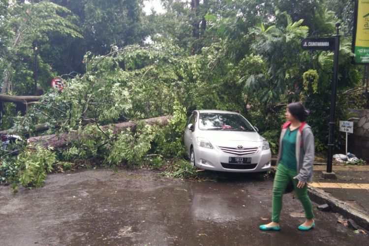 Salah seorang warga saat melintas di depan mobil yang tertimpa pohon di Jalan Ciungwanara, Kota Bandung, Rabu (19/4/2017) sore. 