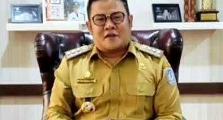 Profil Riza Herdavid, Bupati Bangka Selatan yang Kalahkan Kotak Kosong