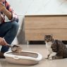 Cara Mengusir Kucing agar Tidak Buang Kotoran Sembarangan